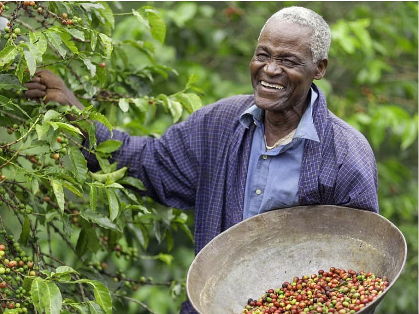 Agri-Flex Harvest Loan